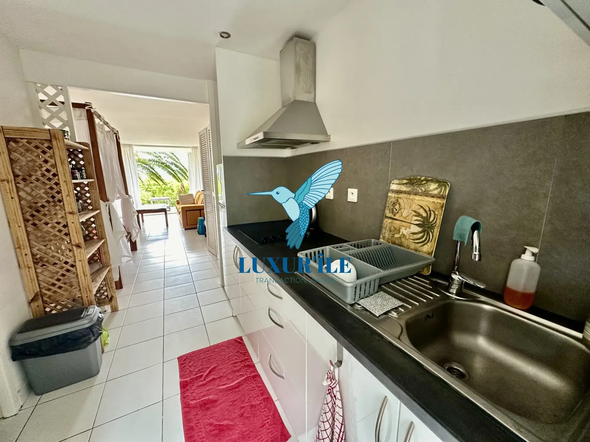 Grand studio en rez-de-jardin avec piscine à Saint-Martin, proche plage de la Baie Orientale 