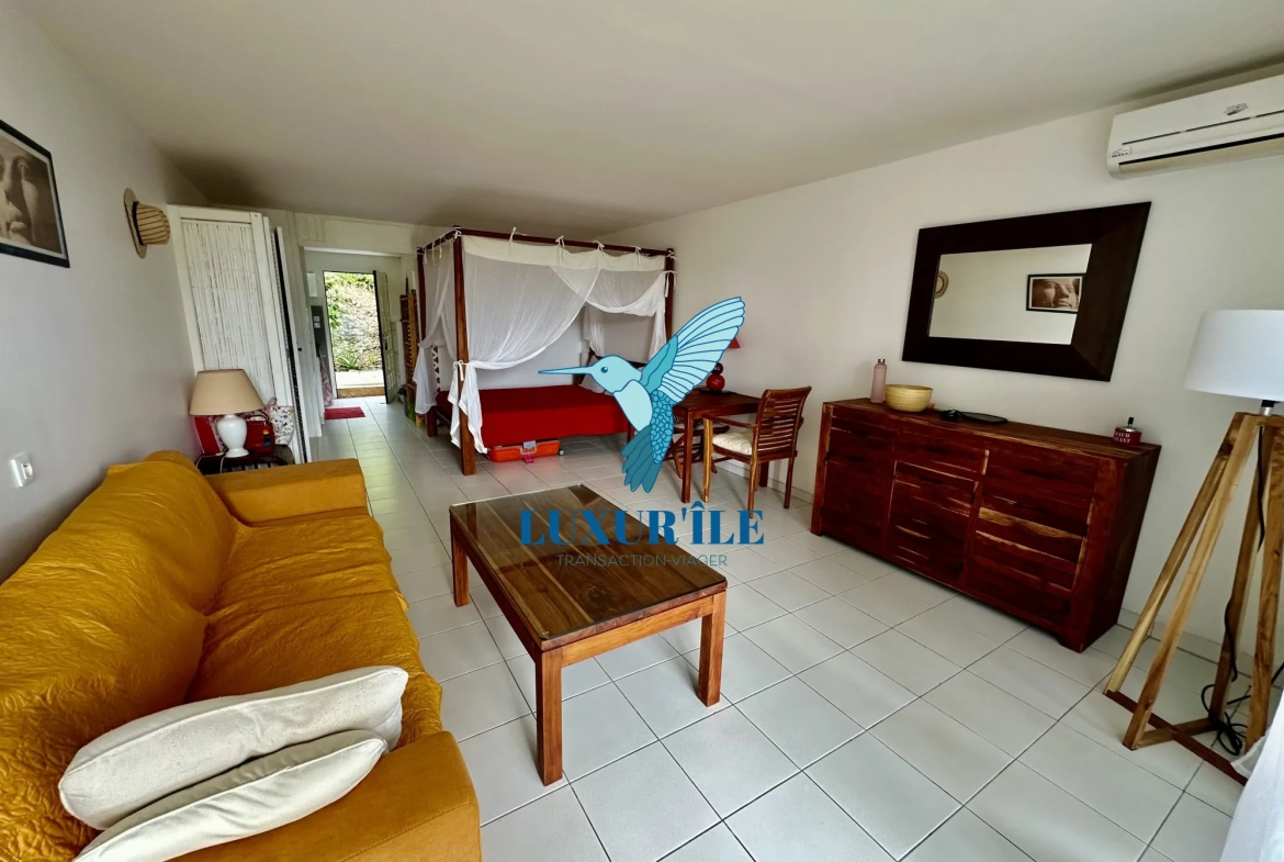 Grand studio en rez-de-jardin avec piscine à Saint-Martin, proche plage de la Baie Orientale 