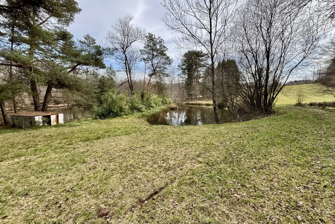 Étang poissonneux de 3000 m² avec terrain boisé en Haute-Vienne, proche Saint Yrieix La Perche 