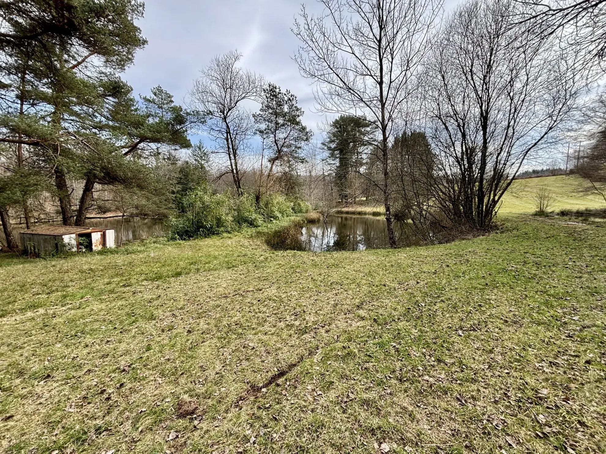 Étang poissonneux de 3000 m² avec terrain boisé en Haute-Vienne, proche Saint Yrieix La Perche 