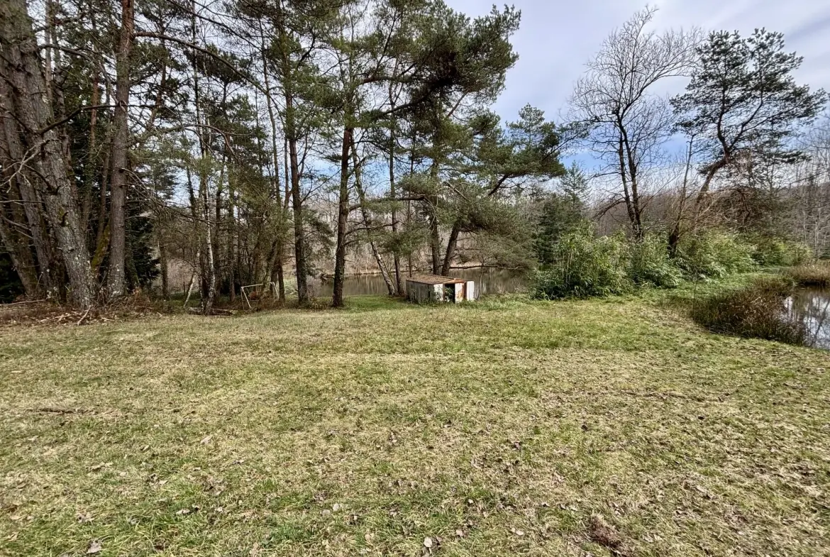 Étang poissonneux de 3000 m² avec terrain boisé en Haute-Vienne, proche Saint Yrieix La Perche 