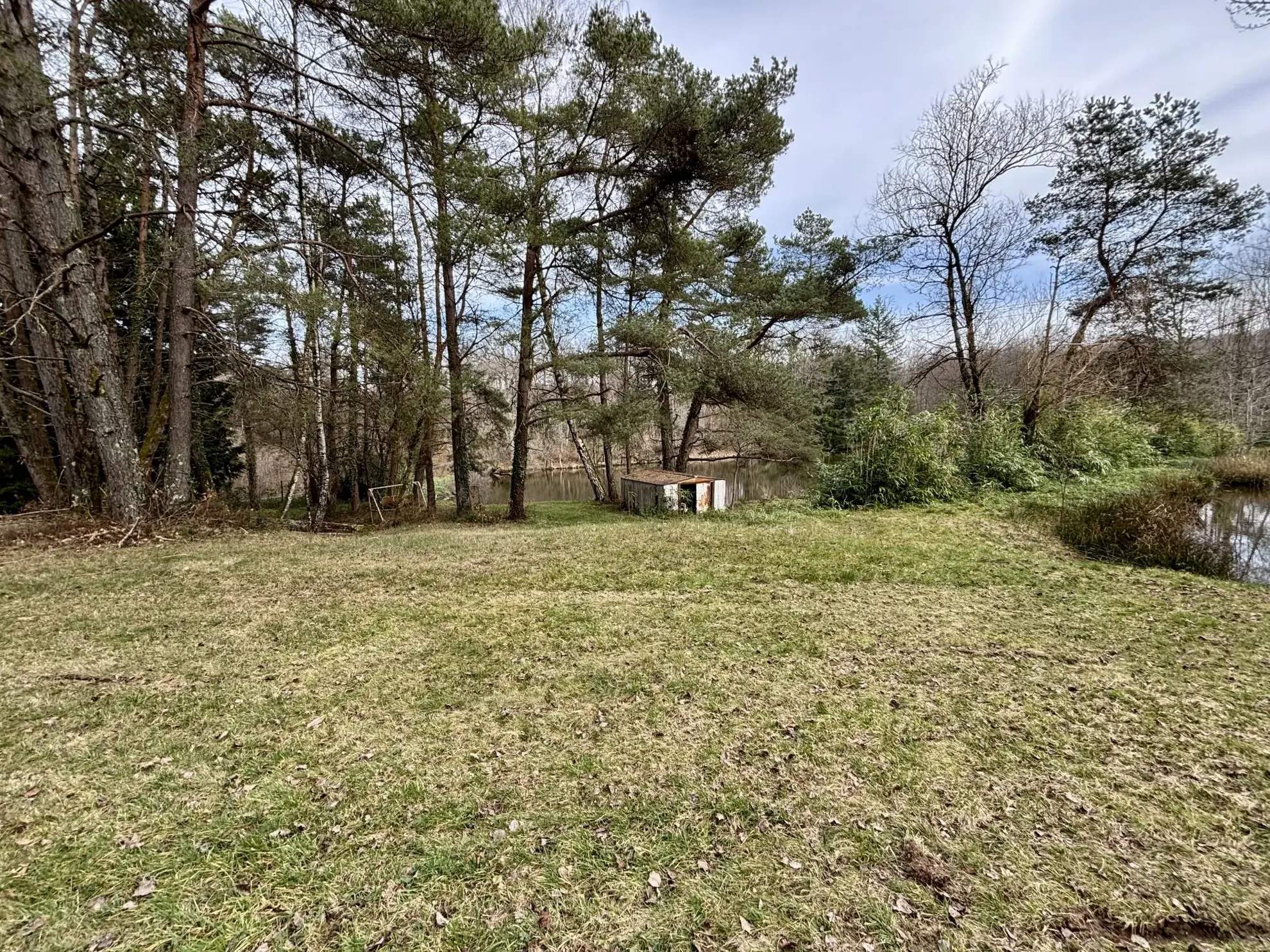 Étang poissonneux de 3000 m² avec terrain boisé en Haute-Vienne, proche Saint Yrieix La Perche 