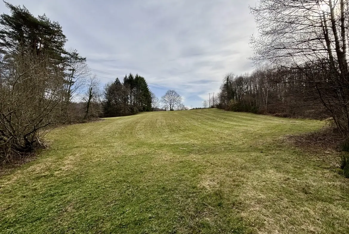 Étang poissonneux de 3000 m² avec terrain boisé en Haute-Vienne, proche Saint Yrieix La Perche 
