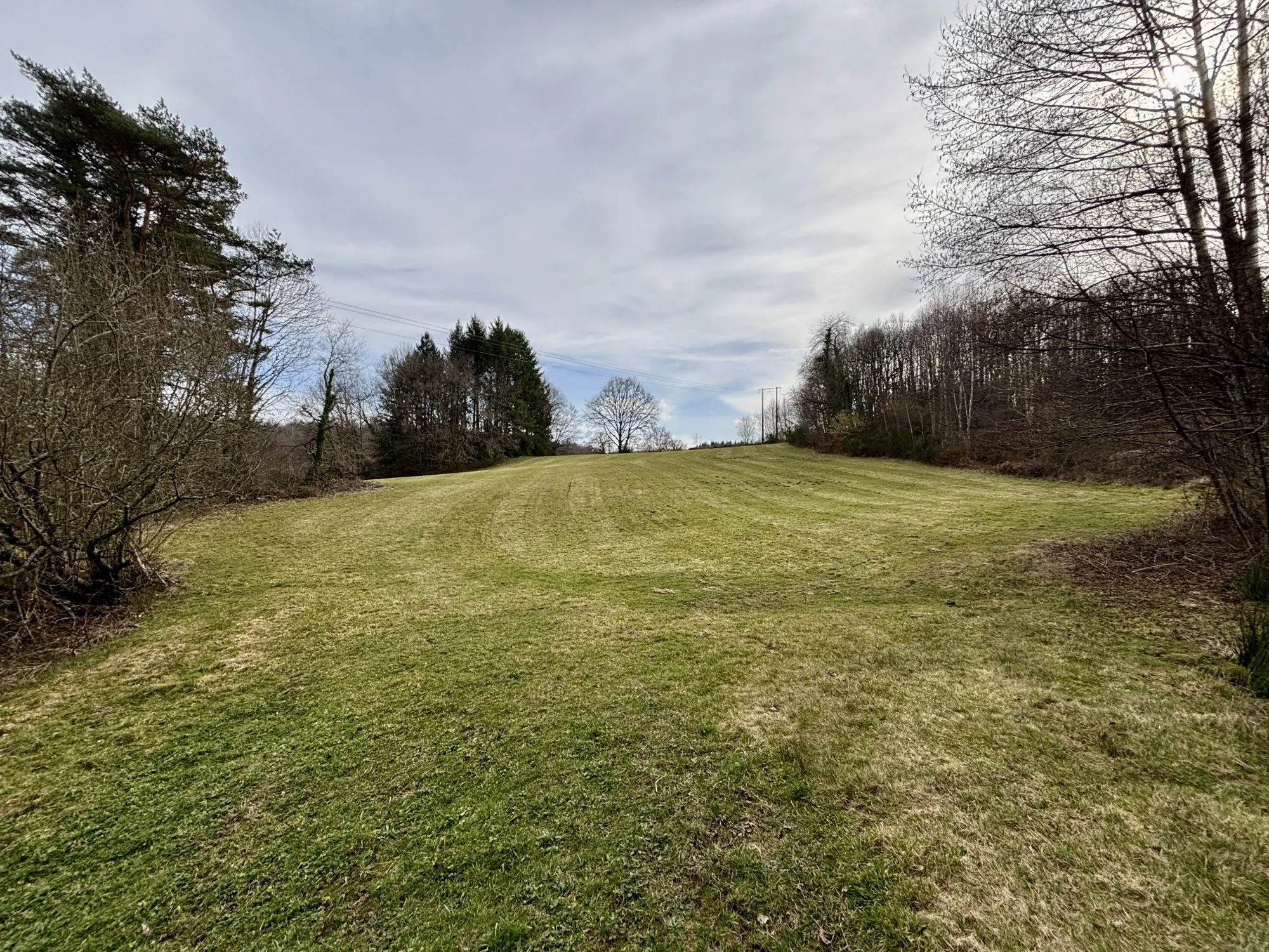 Étang poissonneux de 3000 m² avec terrain boisé en Haute-Vienne, proche Saint Yrieix La Perche 