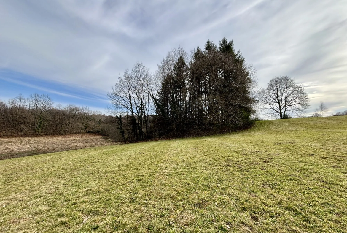 Étang poissonneux de 3000 m² avec terrain boisé en Haute-Vienne, proche Saint Yrieix La Perche 