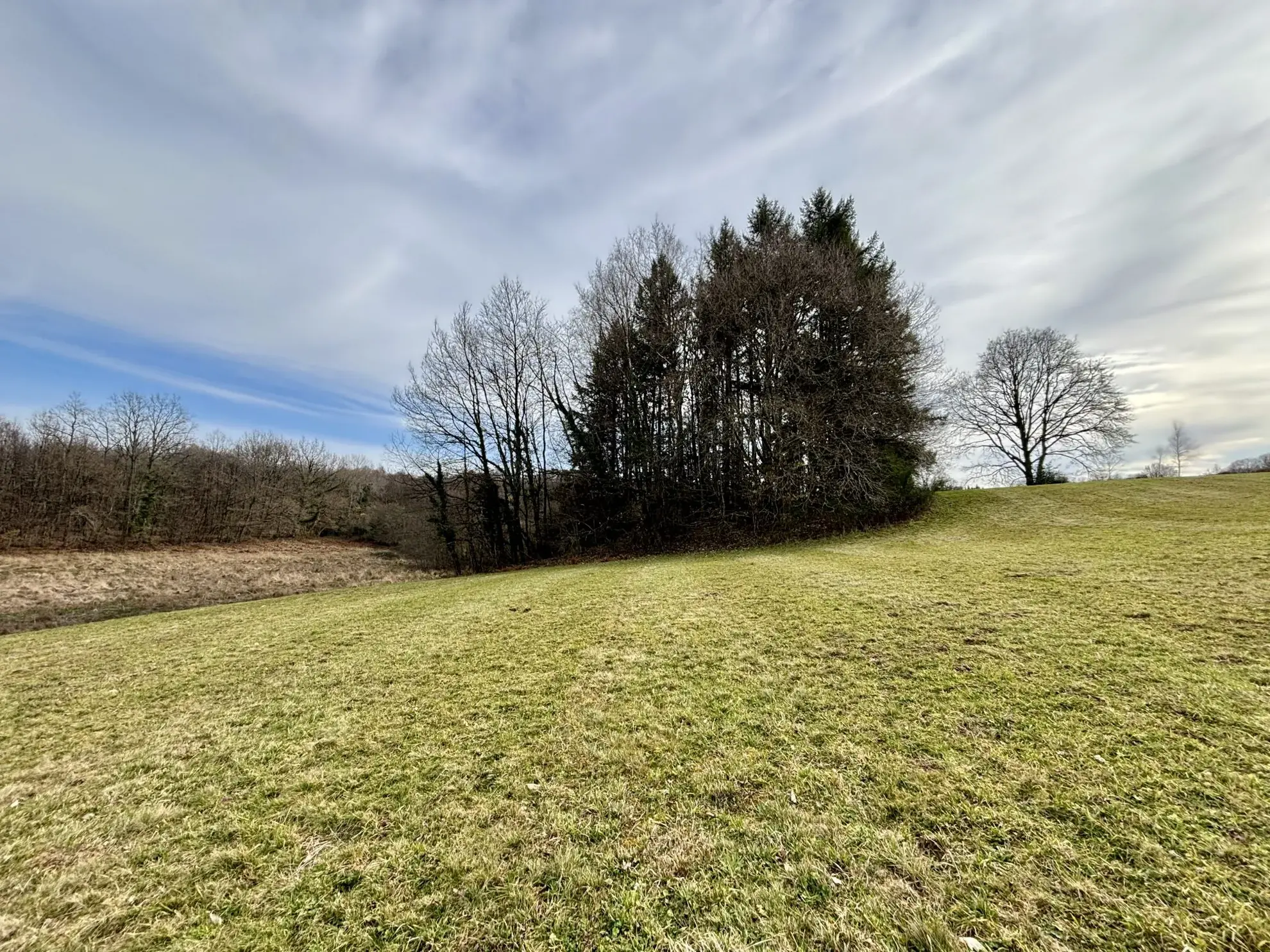 Étang poissonneux de 3000 m² avec terrain boisé en Haute-Vienne, proche Saint Yrieix La Perche 