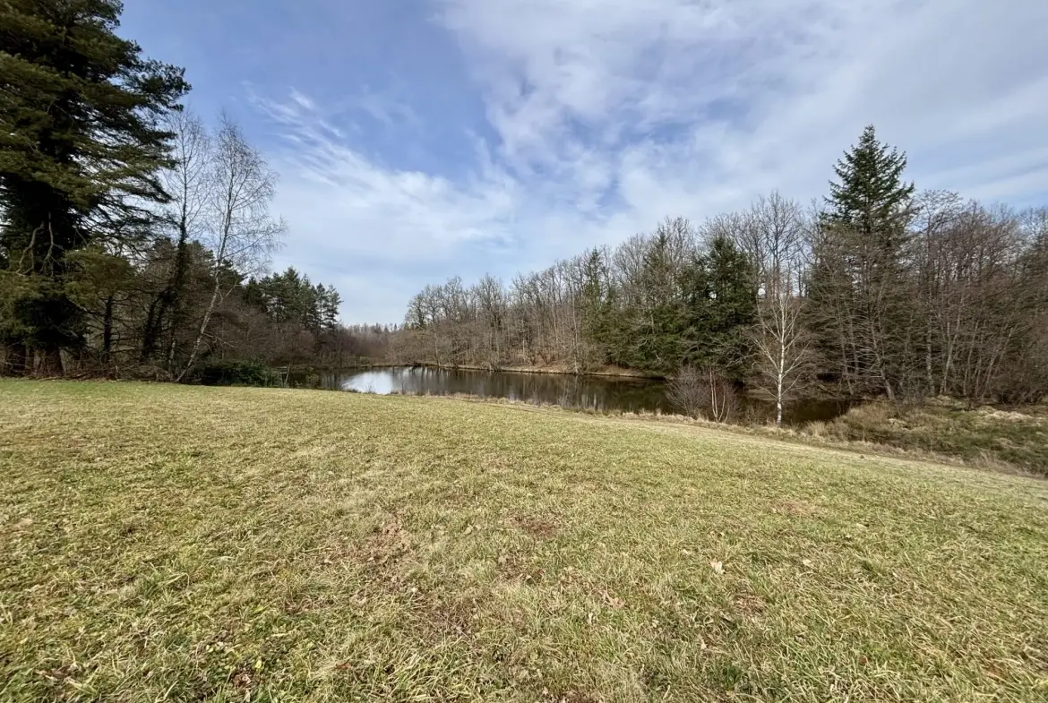 Étang poissonneux de 3000 m² avec terrain boisé en Haute-Vienne, proche Saint Yrieix La Perche 