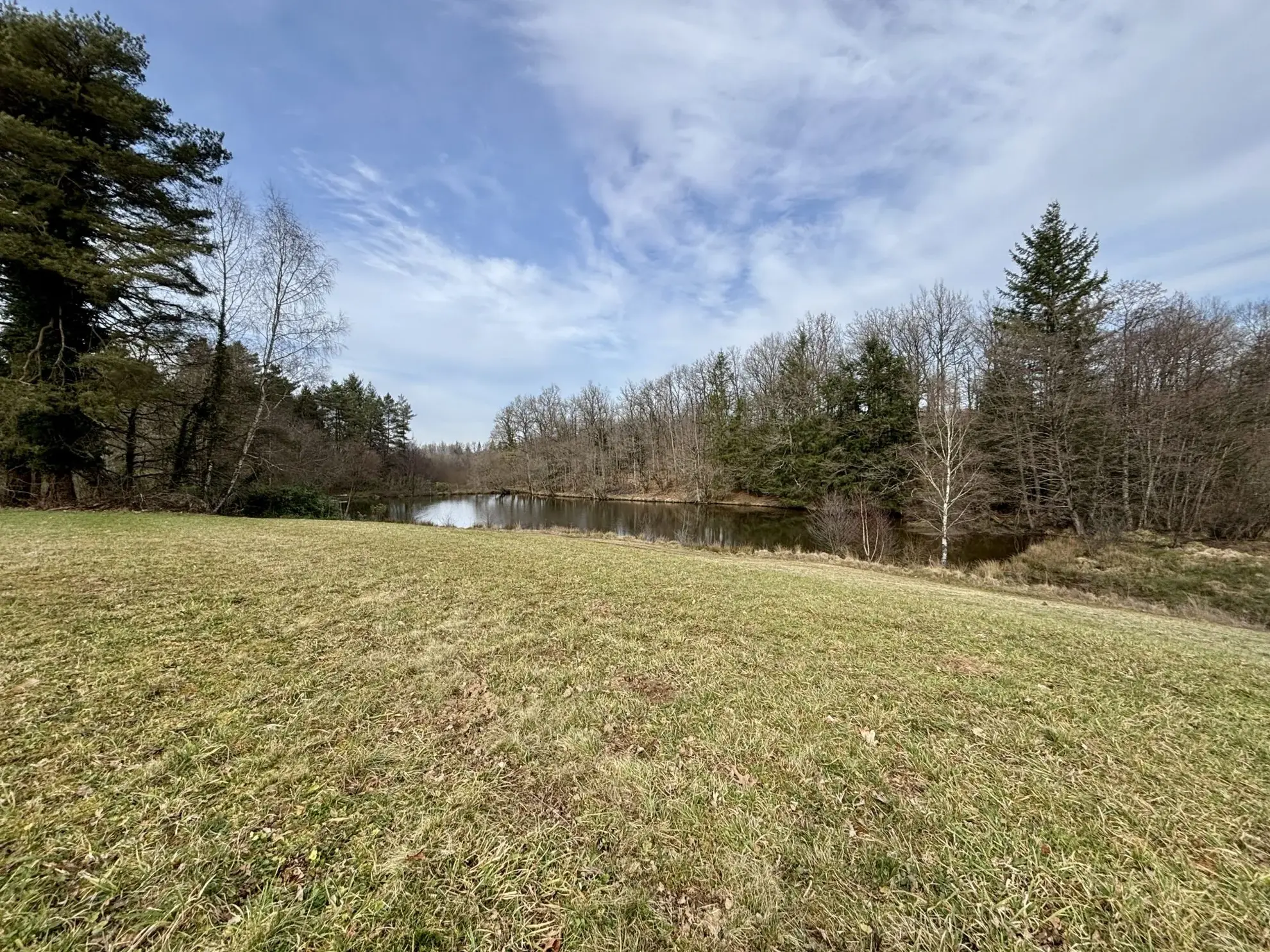 Étang poissonneux de 3000 m² avec terrain boisé en Haute-Vienne, proche Saint Yrieix La Perche 