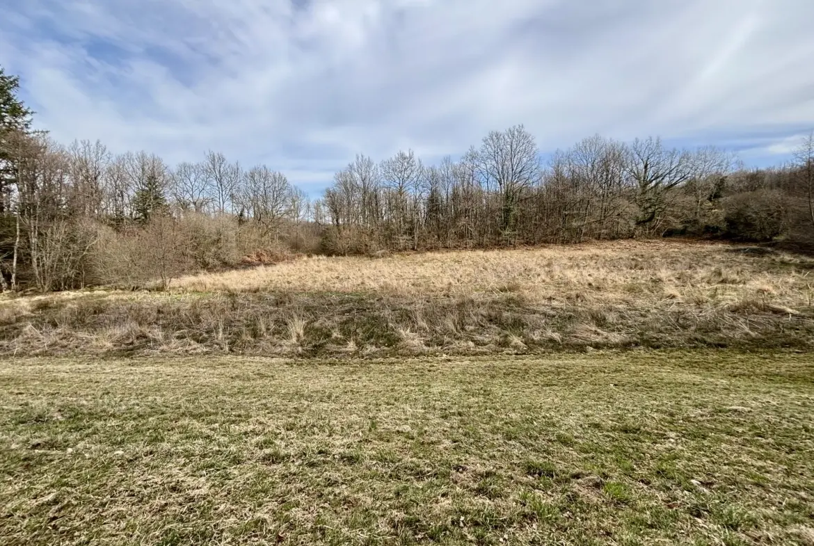 Étang poissonneux de 3000 m² avec terrain boisé en Haute-Vienne, proche Saint Yrieix La Perche 
