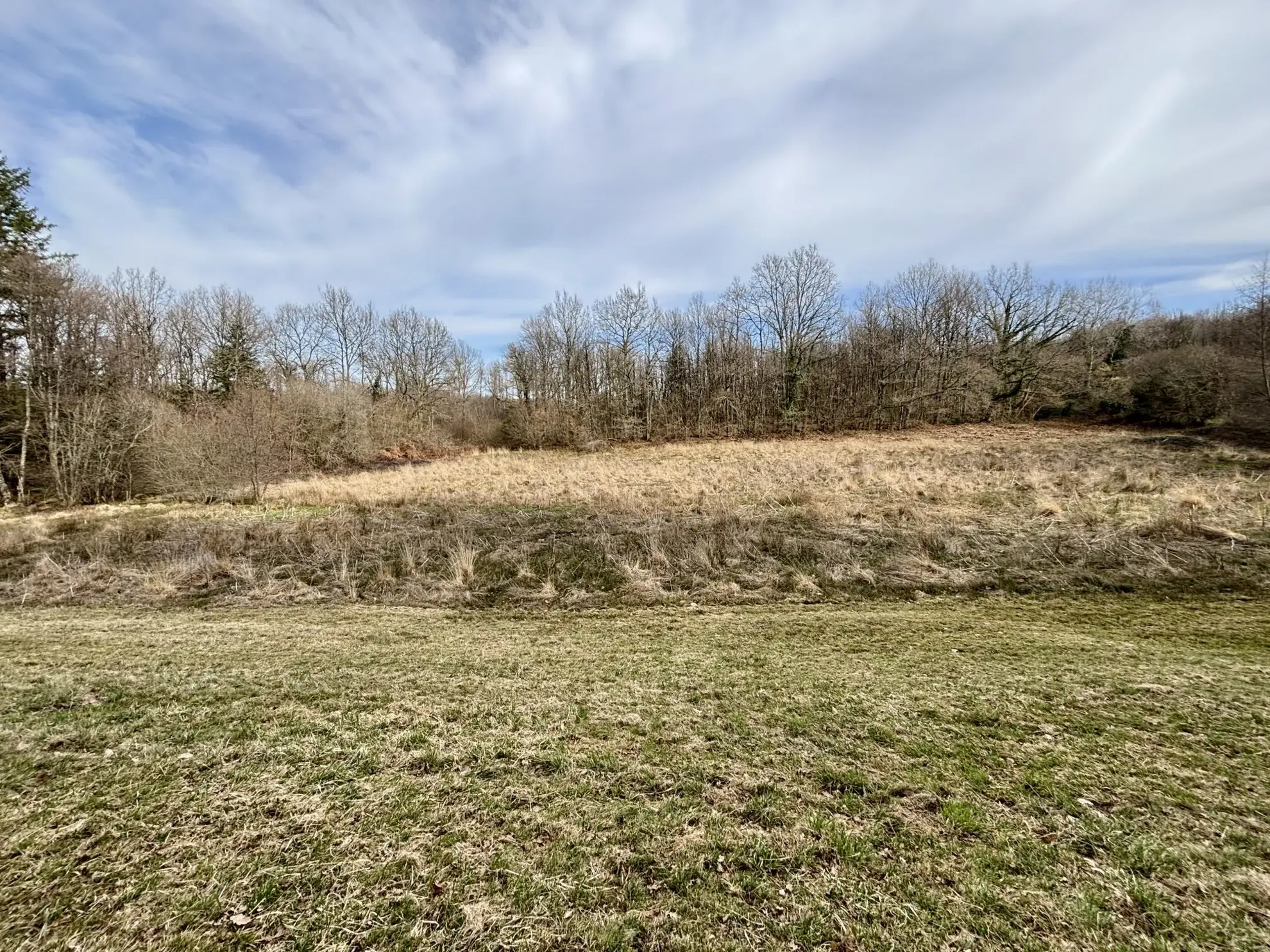 Étang poissonneux de 3000 m² avec terrain boisé en Haute-Vienne, proche Saint Yrieix La Perche 