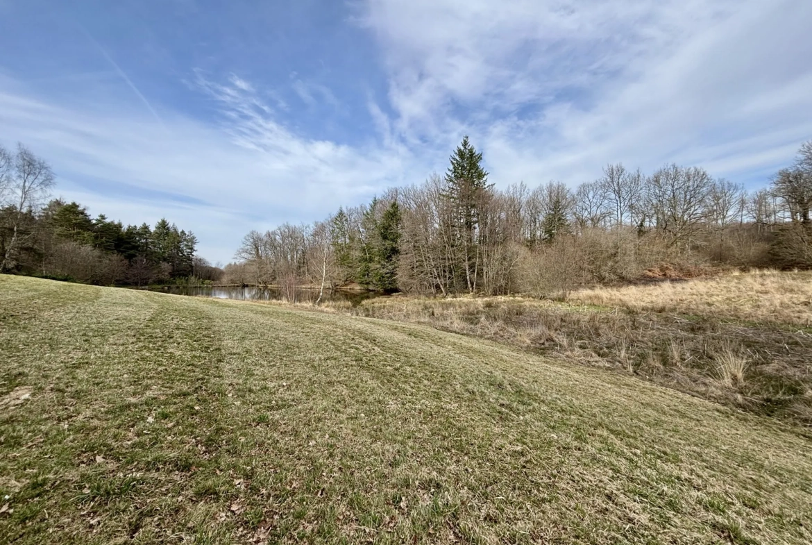 Étang poissonneux de 3000 m² avec terrain boisé en Haute-Vienne, proche Saint Yrieix La Perche 