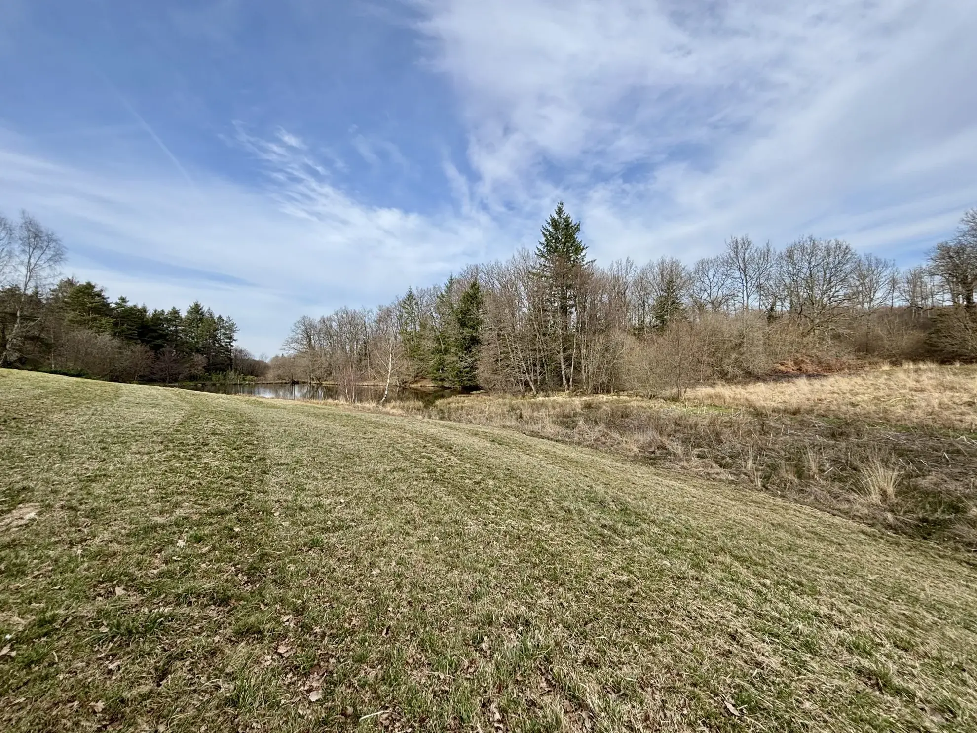 Étang poissonneux de 3000 m² avec terrain boisé en Haute-Vienne, proche Saint Yrieix La Perche 