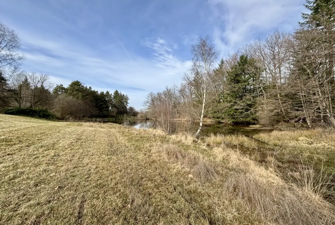 Étang poissonneux de 3000 m² avec terrain boisé en Haute-Vienne, proche Saint Yrieix La Perche 