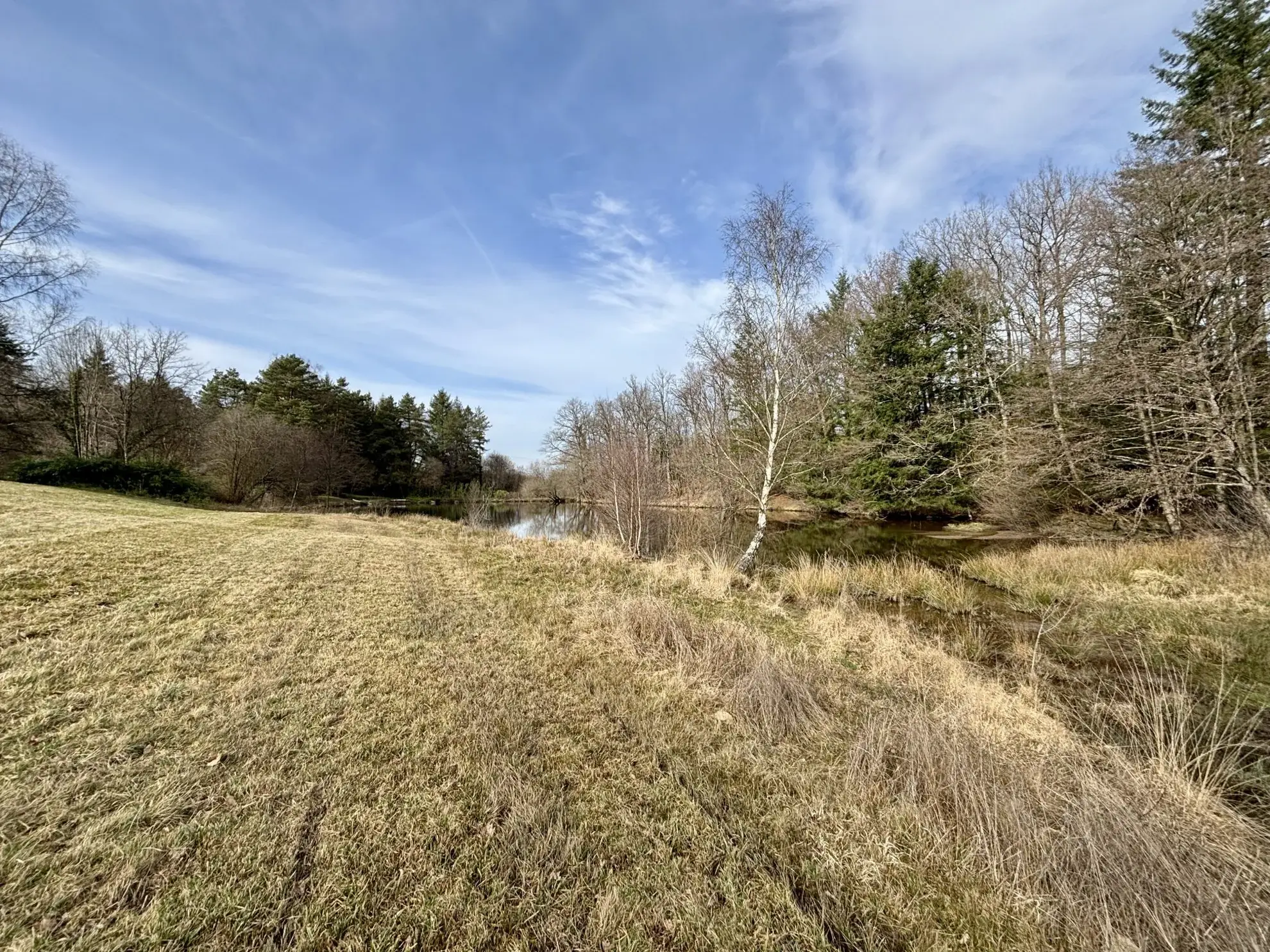 Étang poissonneux de 3000 m² avec terrain boisé en Haute-Vienne, proche Saint Yrieix La Perche 