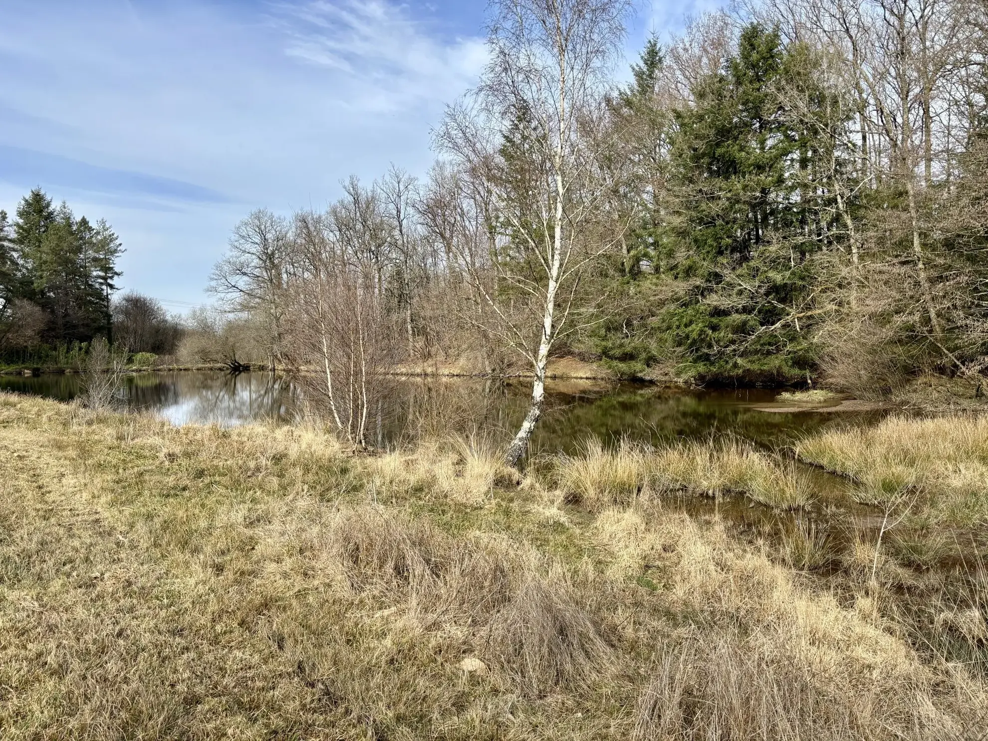Étang poissonneux de 3000 m² avec terrain boisé en Haute-Vienne, proche Saint Yrieix La Perche 