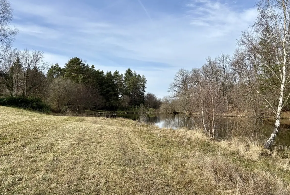 Étang poissonneux de 3000 m² avec terrain boisé en Haute-Vienne, proche Saint Yrieix La Perche 