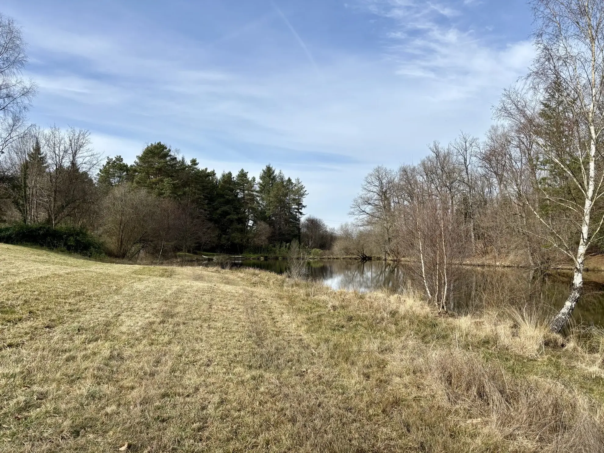 Étang poissonneux de 3000 m² avec terrain boisé en Haute-Vienne, proche Saint Yrieix La Perche 