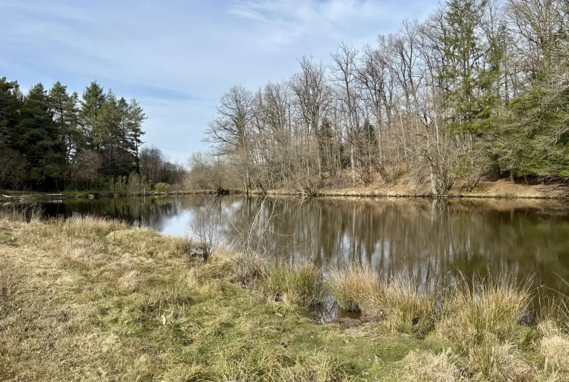 Étang poissonneux de 3000 m² avec terrain boisé en Haute-Vienne, proche Saint Yrieix La Perche 