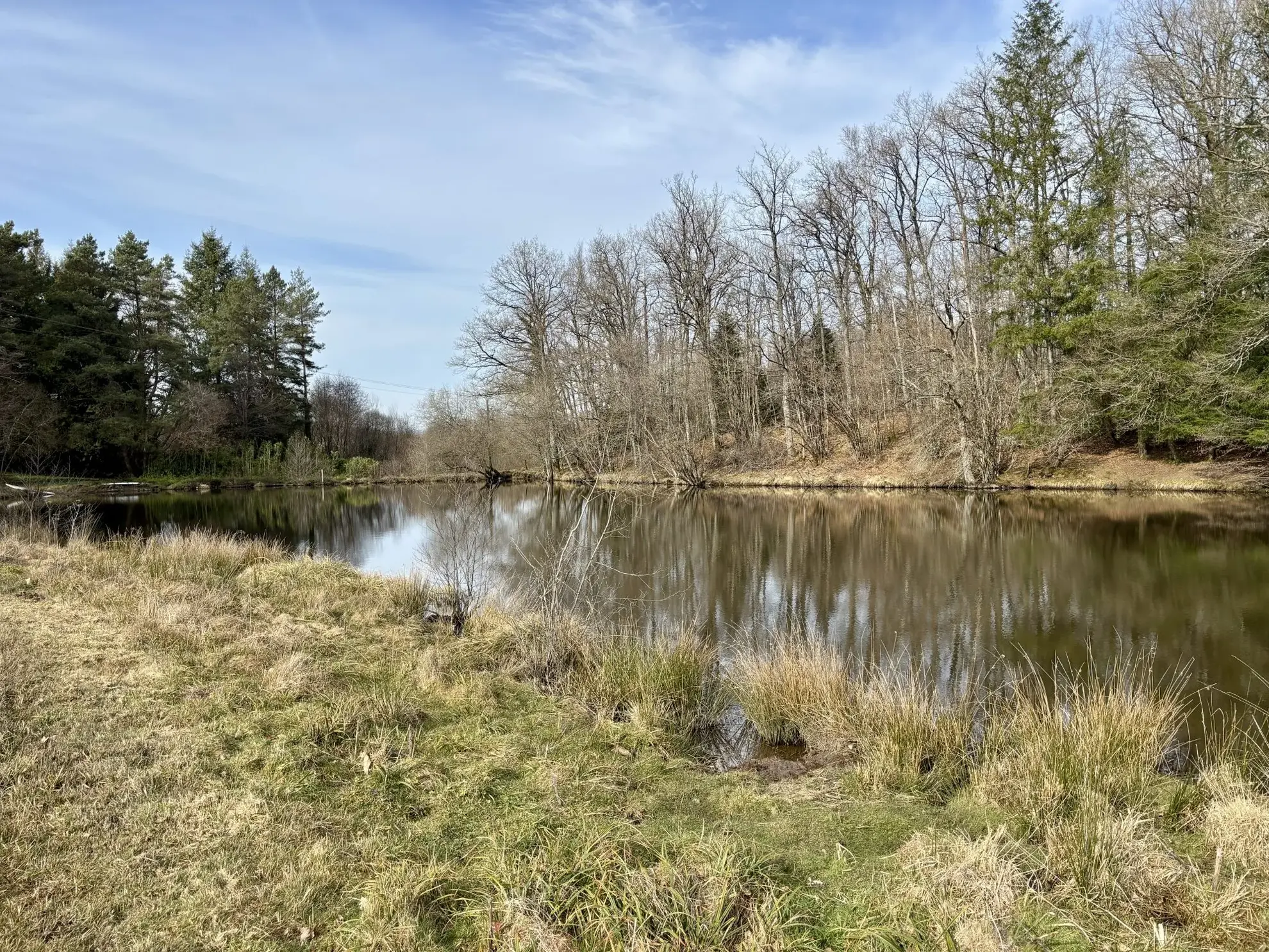 Étang poissonneux de 3000 m² avec terrain boisé en Haute-Vienne, proche Saint Yrieix La Perche 
