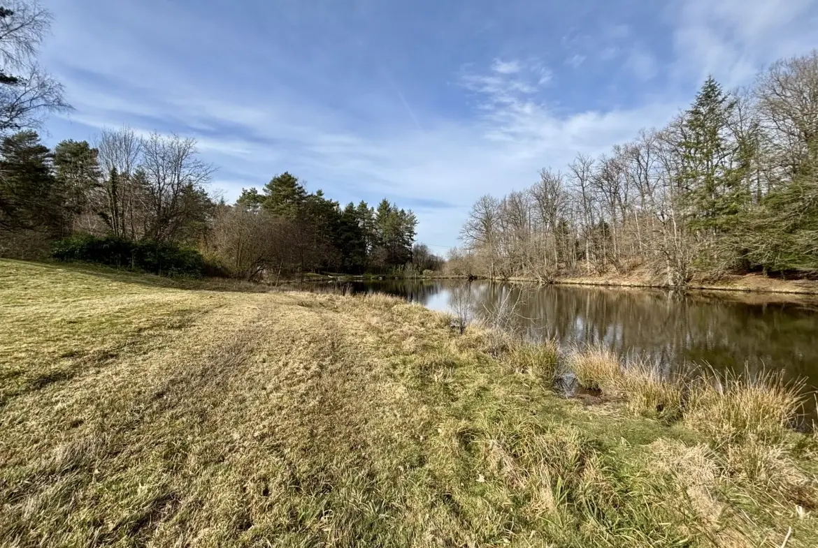 Étang poissonneux de 3000 m² avec terrain boisé en Haute-Vienne, proche Saint Yrieix La Perche 