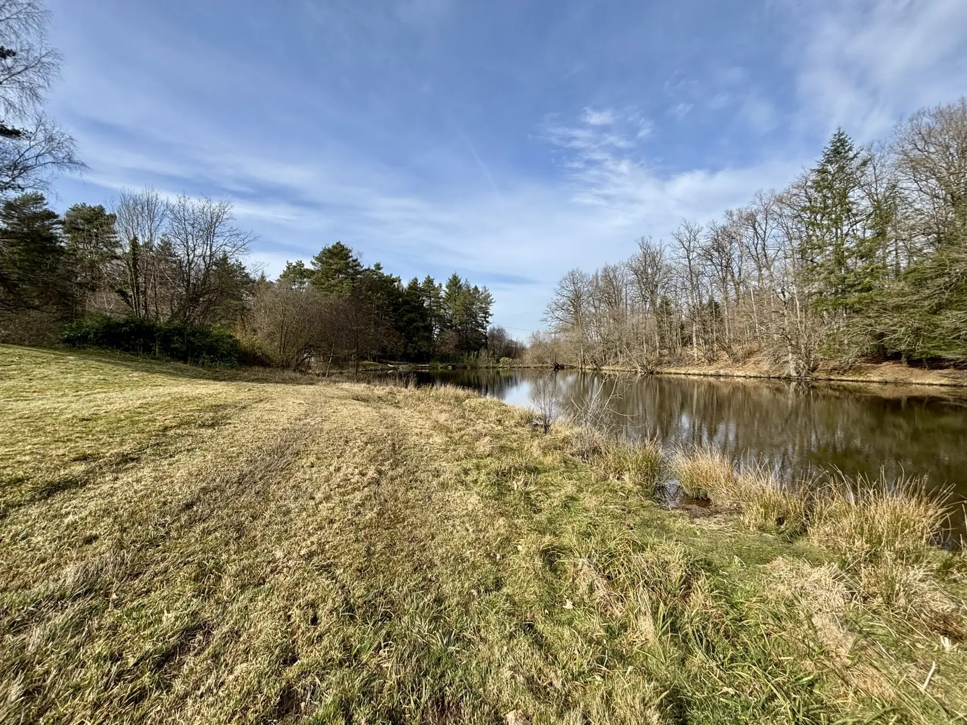 Étang poissonneux de 3000 m² avec terrain boisé en Haute-Vienne, proche Saint Yrieix La Perche 