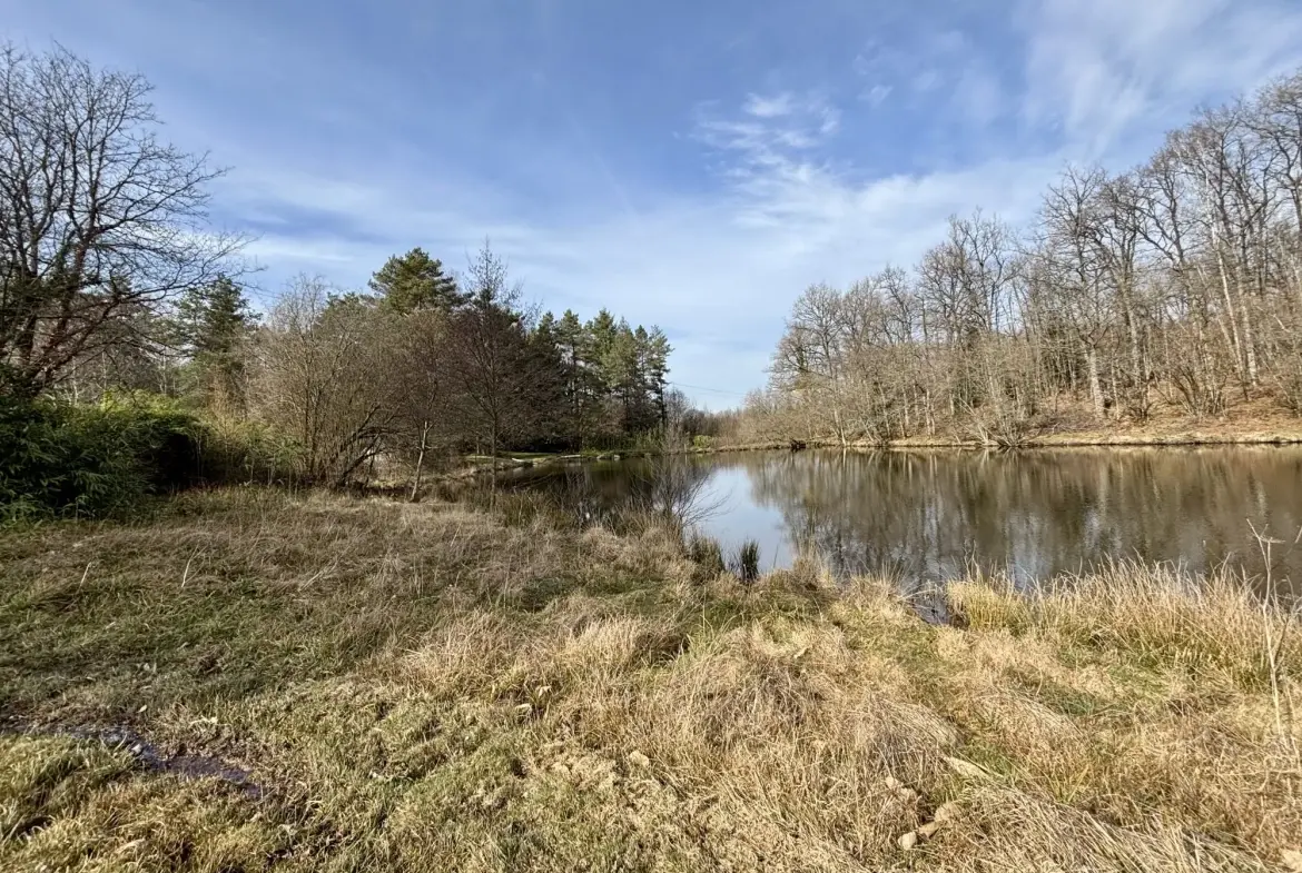 Étang poissonneux de 3000 m² avec terrain boisé en Haute-Vienne, proche Saint Yrieix La Perche 