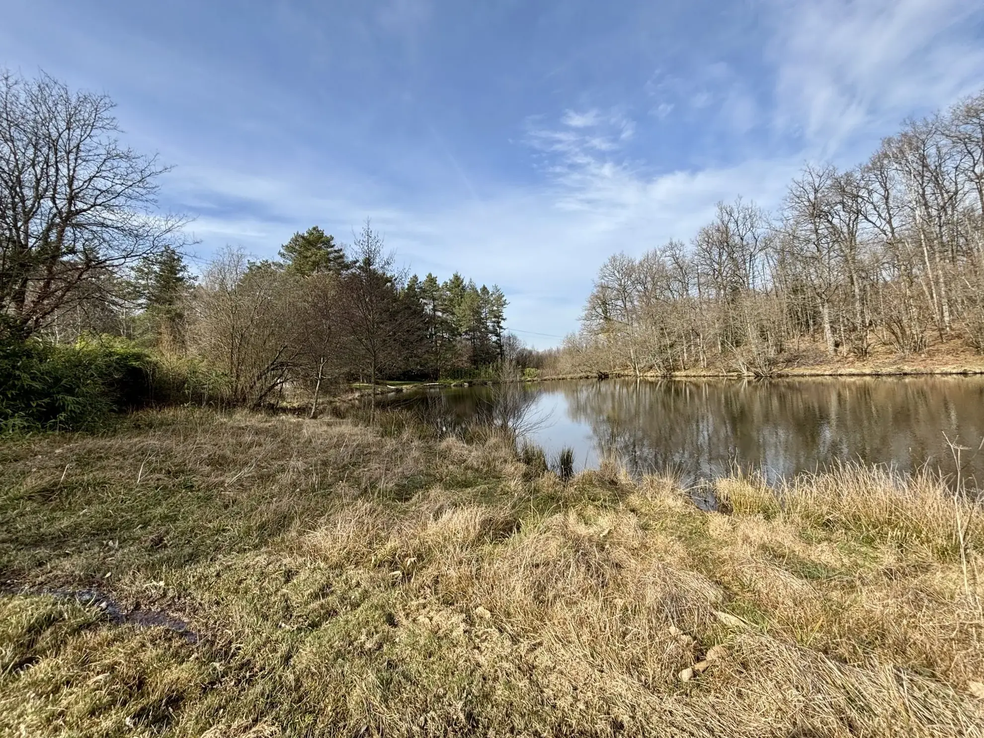Étang poissonneux de 3000 m² avec terrain boisé en Haute-Vienne, proche Saint Yrieix La Perche 