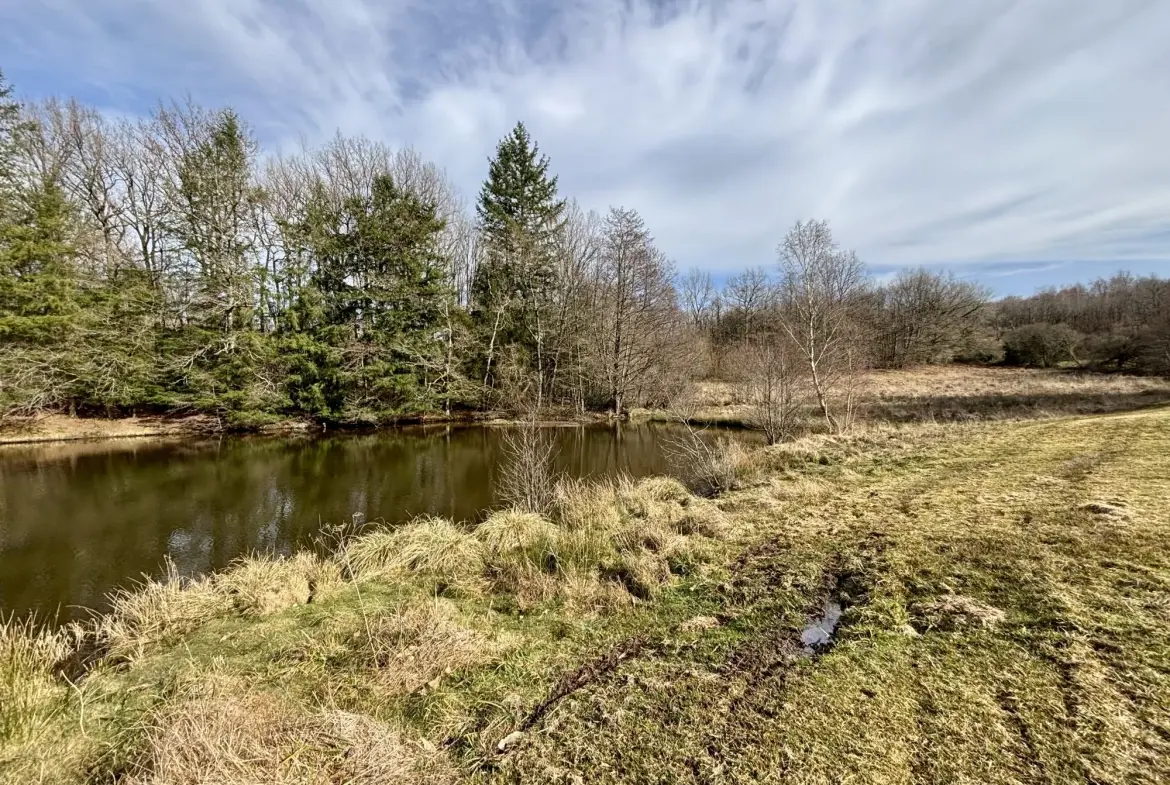 Étang poissonneux de 3000 m² avec terrain boisé en Haute-Vienne, proche Saint Yrieix La Perche 