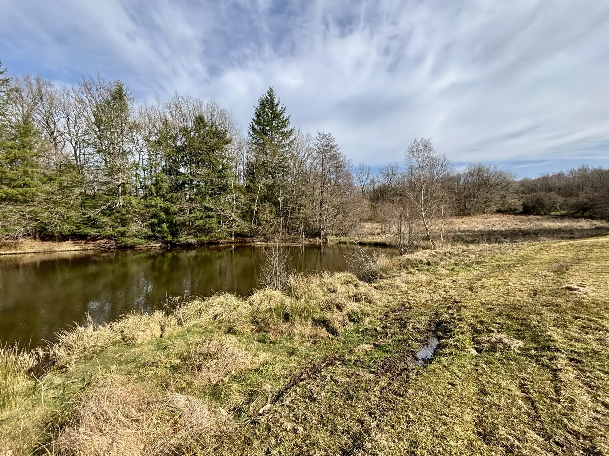 Étang poissonneux de 3000 m² avec terrain boisé en Haute-Vienne, proche Saint Yrieix La Perche 