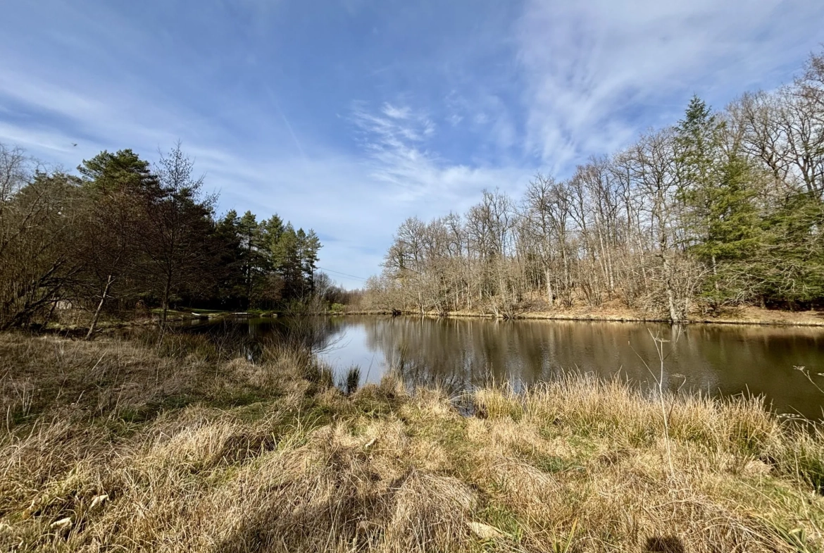 Étang poissonneux de 3000 m² avec terrain boisé en Haute-Vienne, proche Saint Yrieix La Perche 