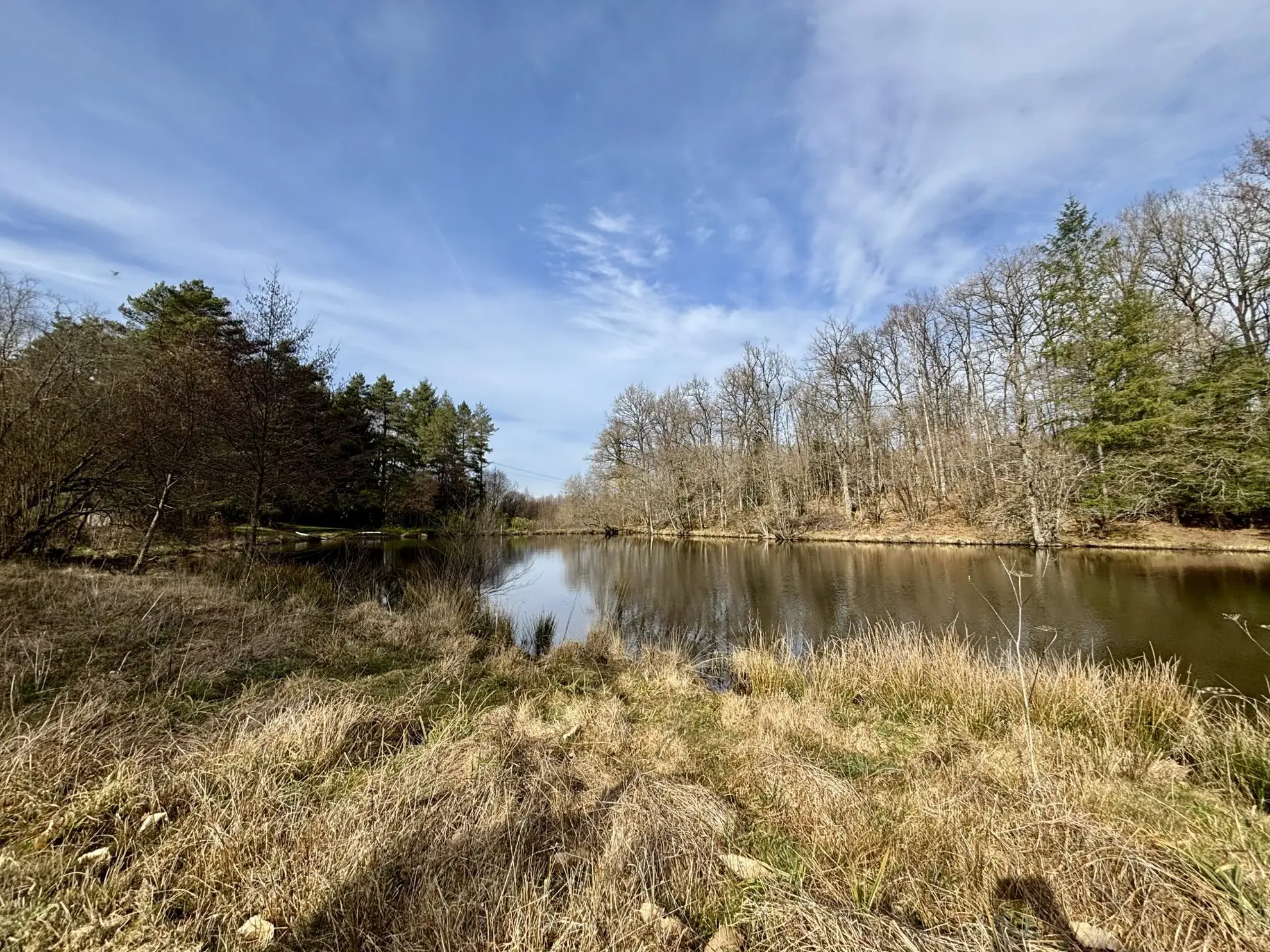 Étang poissonneux de 3000 m² avec terrain boisé en Haute-Vienne, proche Saint Yrieix La Perche 