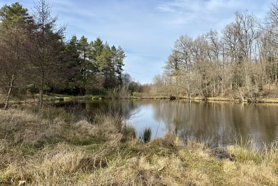 Étang poissonneux de 3000 m² avec terrain boisé en Haute-Vienne, proche Saint Yrieix La Perche 