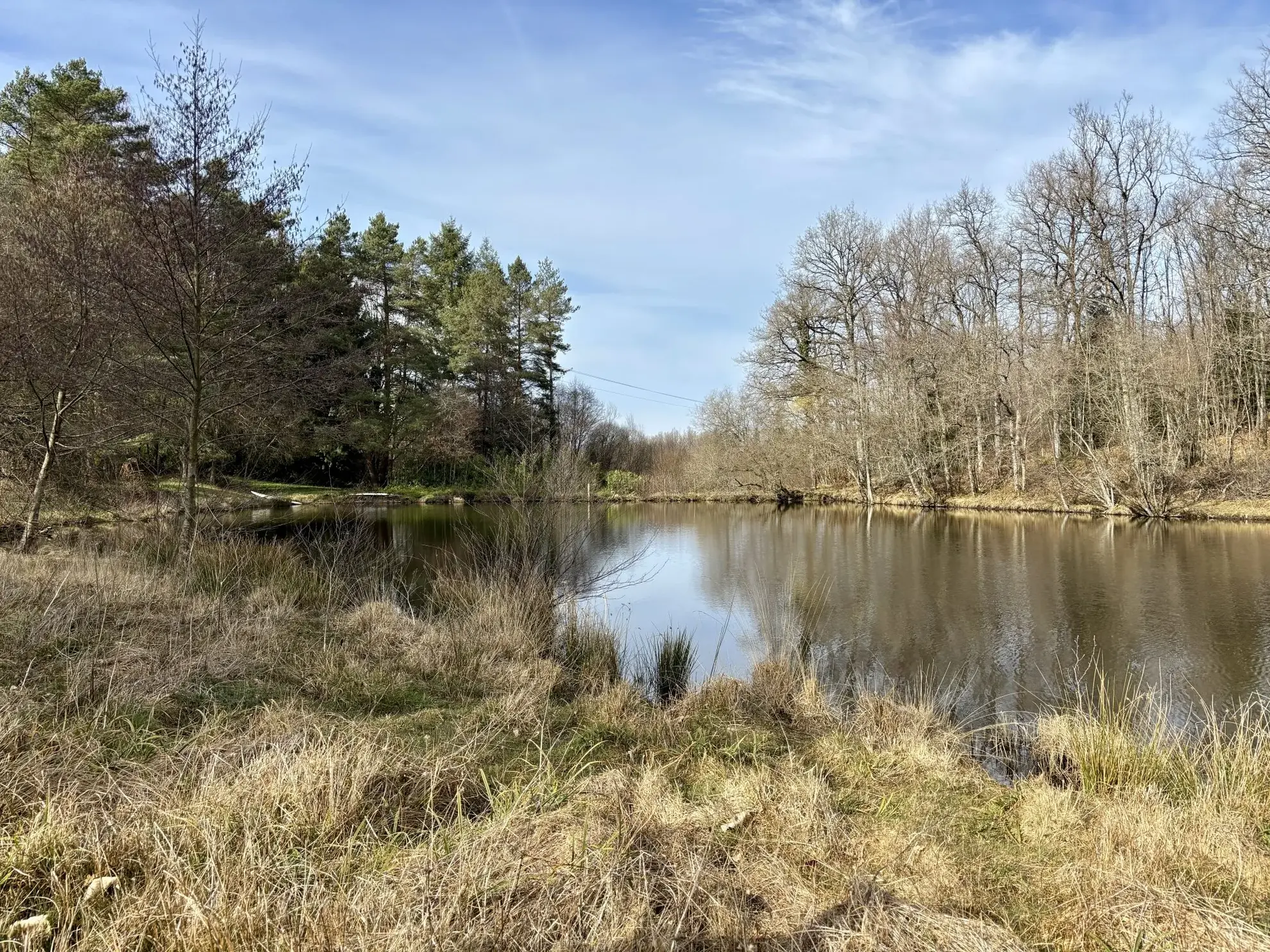 Étang poissonneux de 3000 m² avec terrain boisé en Haute-Vienne, proche Saint Yrieix La Perche 