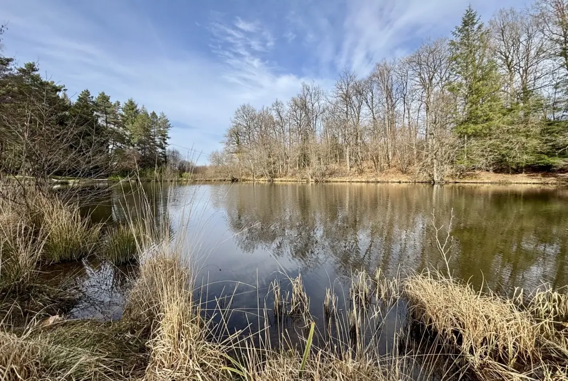 Étang poissonneux de 3000 m² avec terrain boisé en Haute-Vienne, proche Saint Yrieix La Perche 