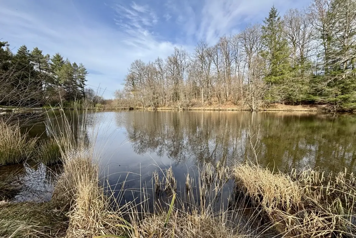 Étang poissonneux de 3000 m² avec terrain boisé en Haute-Vienne, proche Saint Yrieix La Perche 