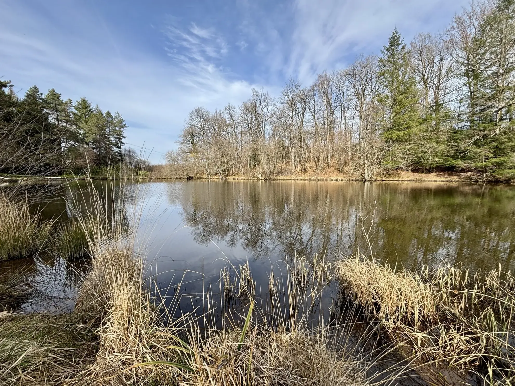 Étang poissonneux de 3000 m² avec terrain boisé en Haute-Vienne, proche Saint Yrieix La Perche 