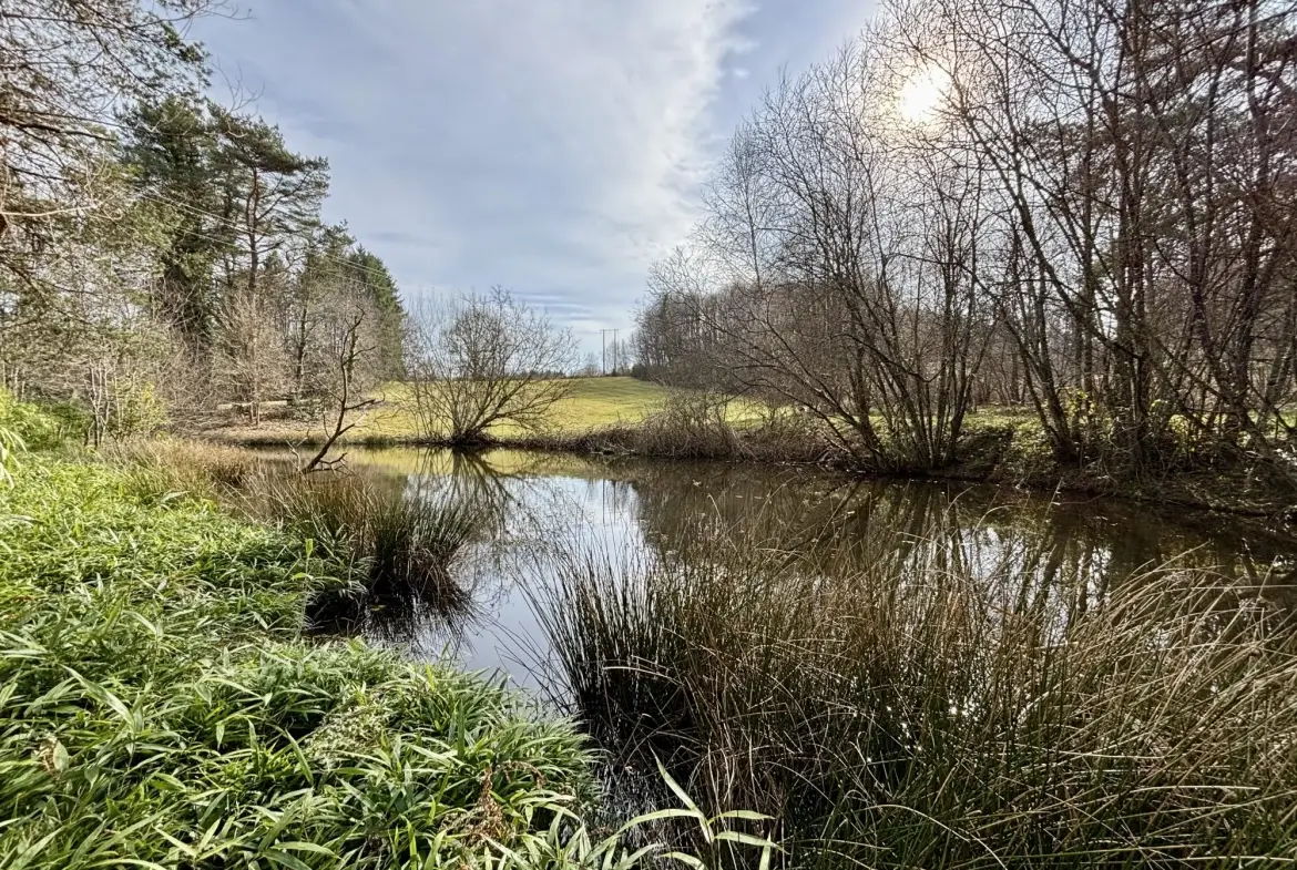 Étang poissonneux de 3000 m² avec terrain boisé en Haute-Vienne, proche Saint Yrieix La Perche 