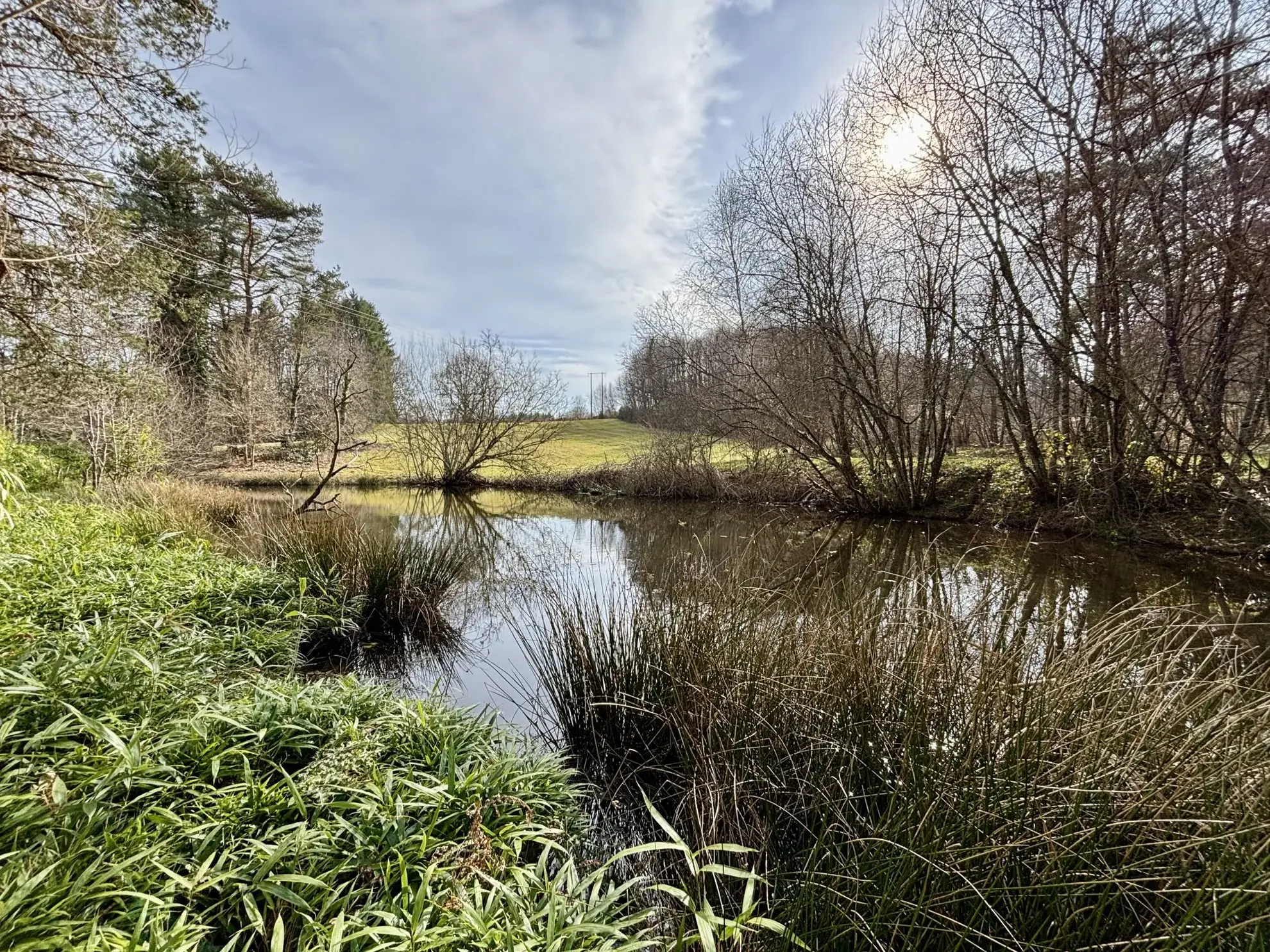 Étang poissonneux de 3000 m² avec terrain boisé en Haute-Vienne, proche Saint Yrieix La Perche 