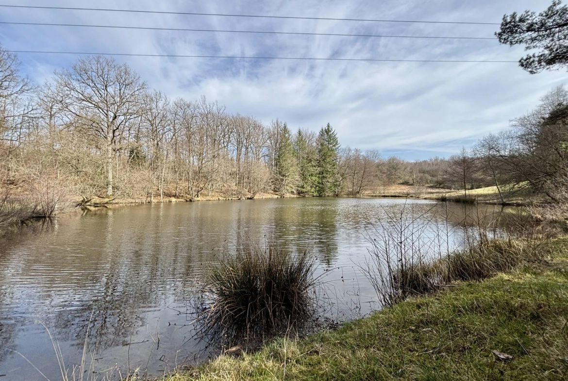 Étang poissonneux de 3000 m² avec terrain boisé en Haute-Vienne, proche Saint Yrieix La Perche 