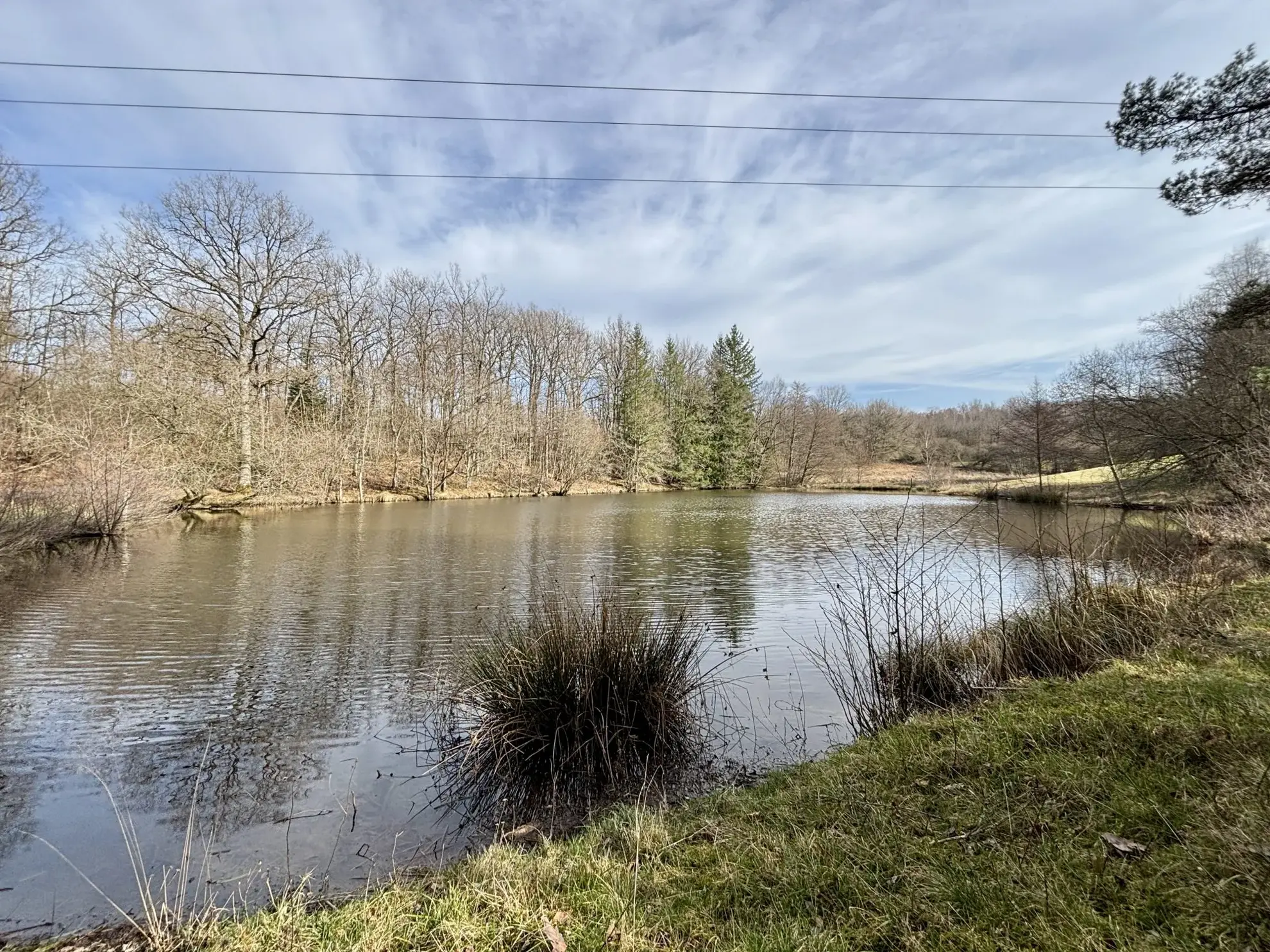 Étang poissonneux de 3000 m² avec terrain boisé en Haute-Vienne, proche Saint Yrieix La Perche 