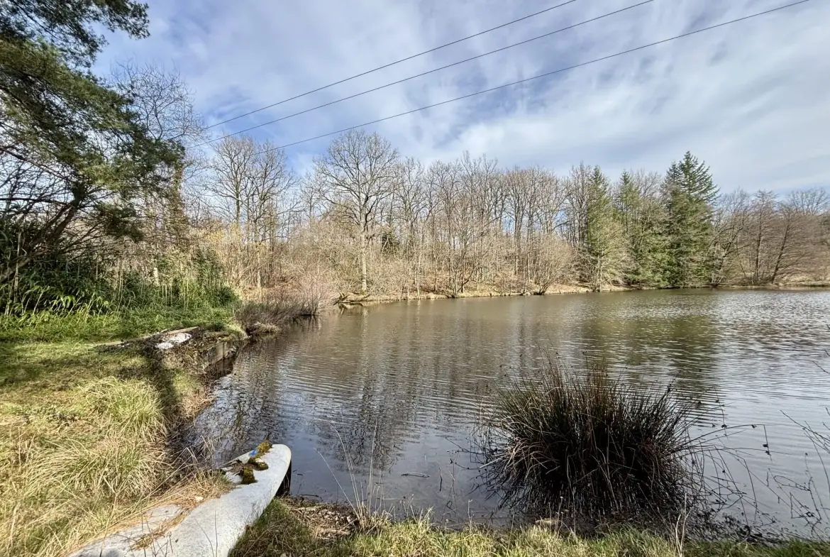 Étang poissonneux de 3000 m² avec terrain boisé en Haute-Vienne, proche Saint Yrieix La Perche 