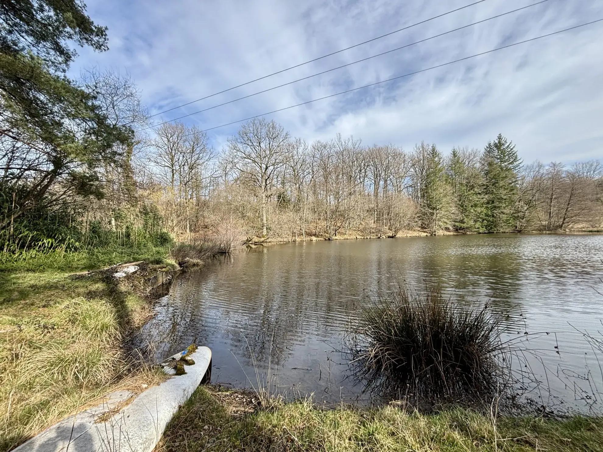 Étang poissonneux de 3000 m² avec terrain boisé en Haute-Vienne, proche Saint Yrieix La Perche 