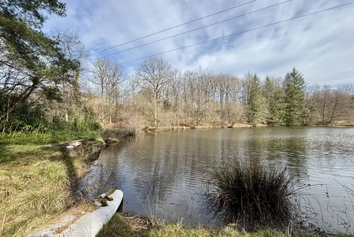 Étang poissonneux de 3000 m² avec terrain boisé en Haute-Vienne, proche Saint Yrieix La Perche 