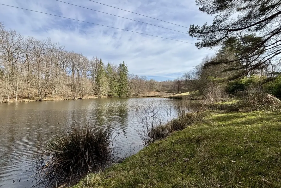 Étang poissonneux de 3000 m² avec terrain boisé en Haute-Vienne, proche Saint Yrieix La Perche 
