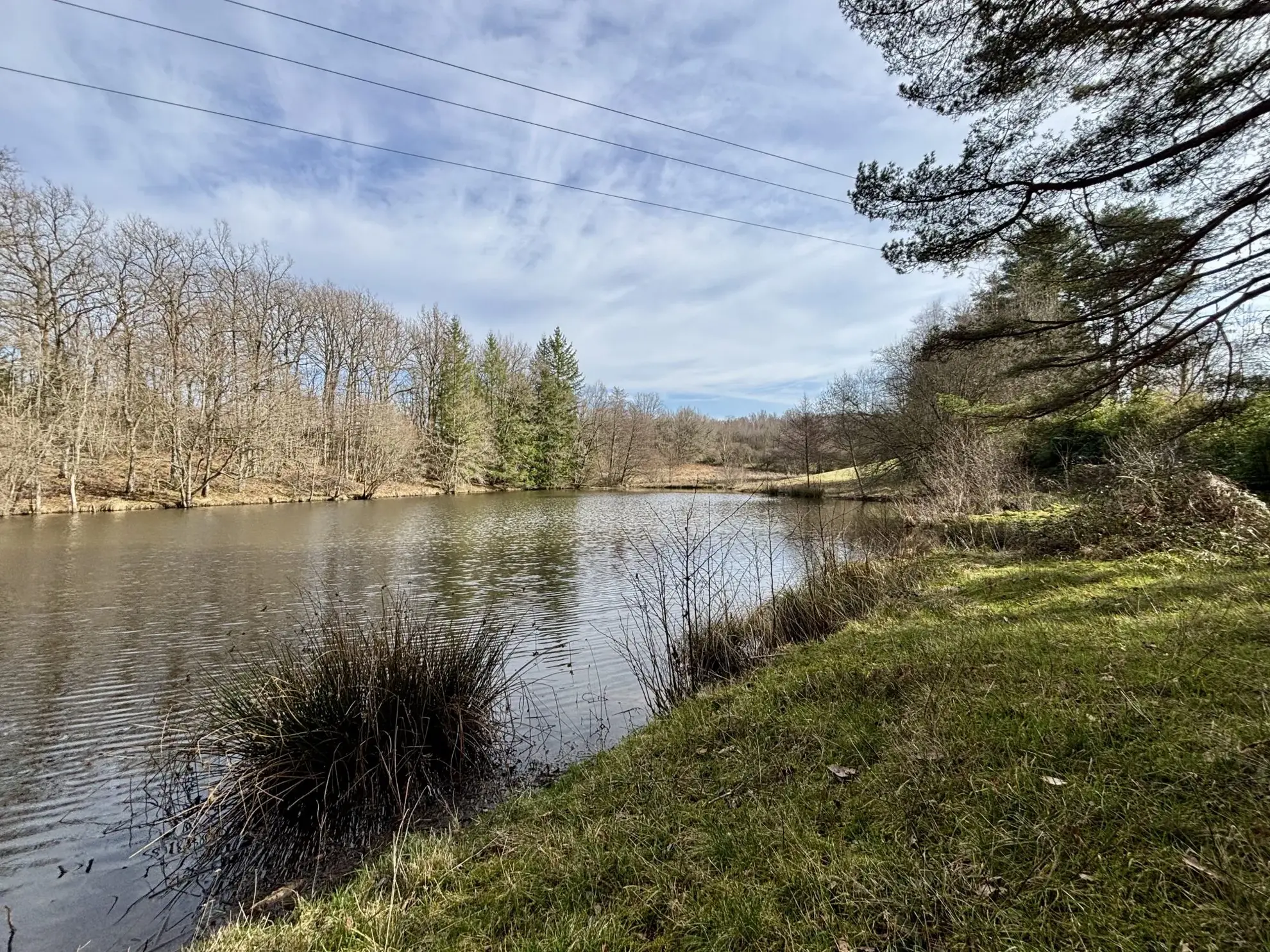 Étang poissonneux de 3000 m² avec terrain boisé en Haute-Vienne, proche Saint Yrieix La Perche 