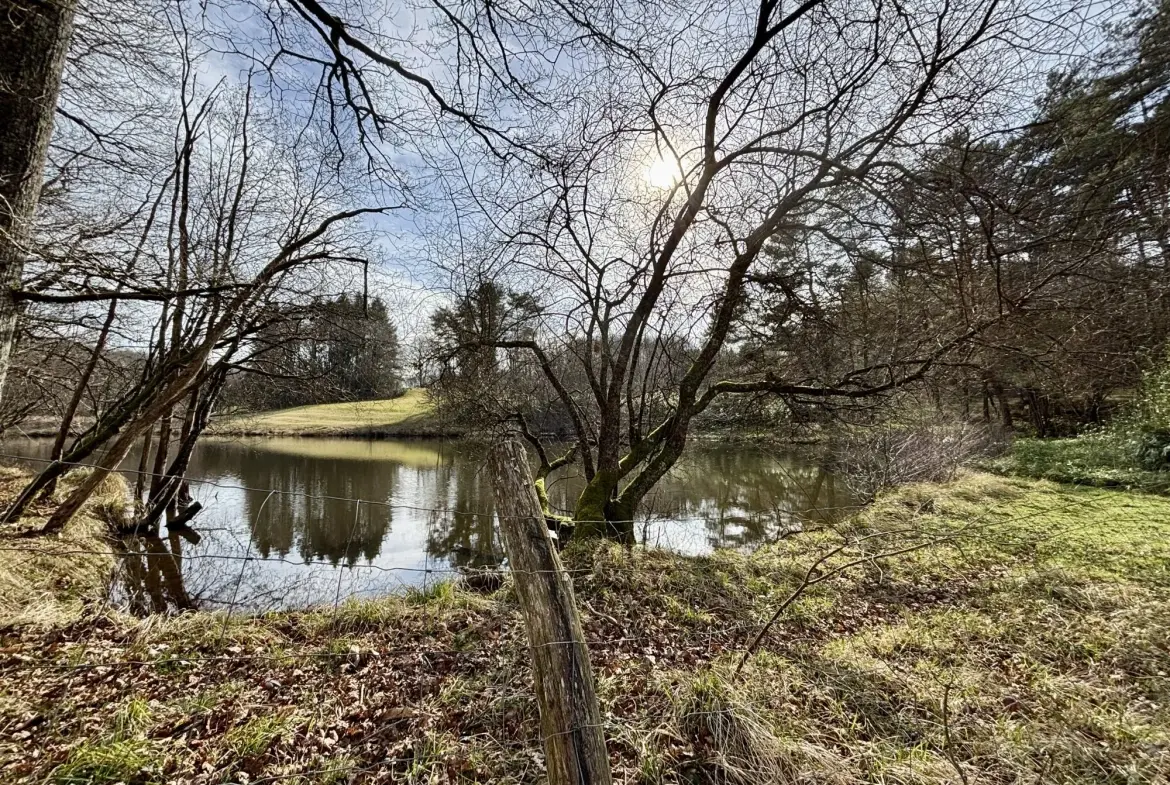Étang poissonneux de 3000 m² avec terrain boisé en Haute-Vienne, proche Saint Yrieix La Perche 