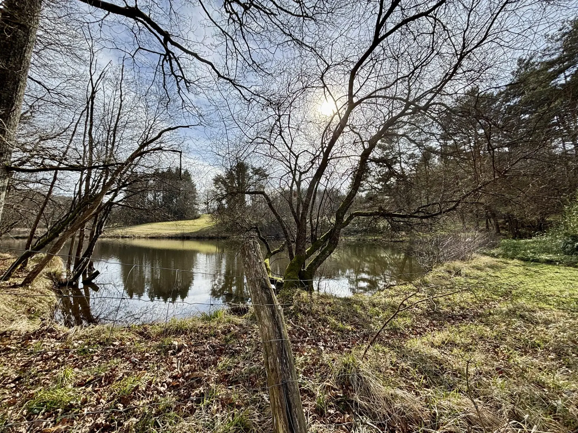 Étang poissonneux de 3000 m² avec terrain boisé en Haute-Vienne, proche Saint Yrieix La Perche 