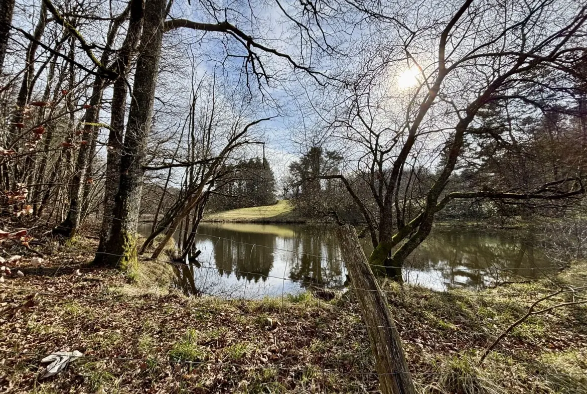 Étang poissonneux de 3000 m² avec terrain boisé en Haute-Vienne, proche Saint Yrieix La Perche 