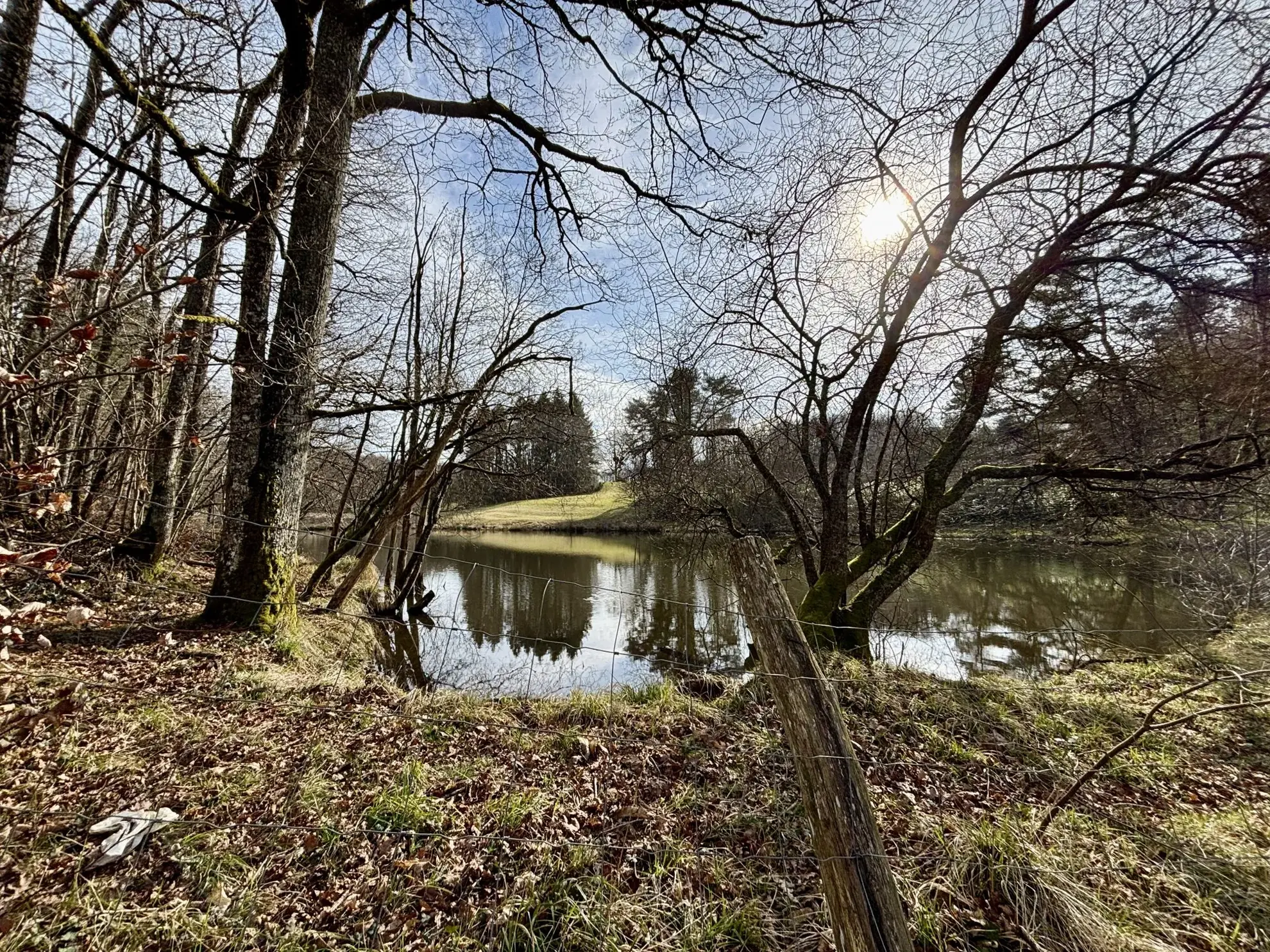 Étang poissonneux de 3000 m² avec terrain boisé en Haute-Vienne, proche Saint Yrieix La Perche 