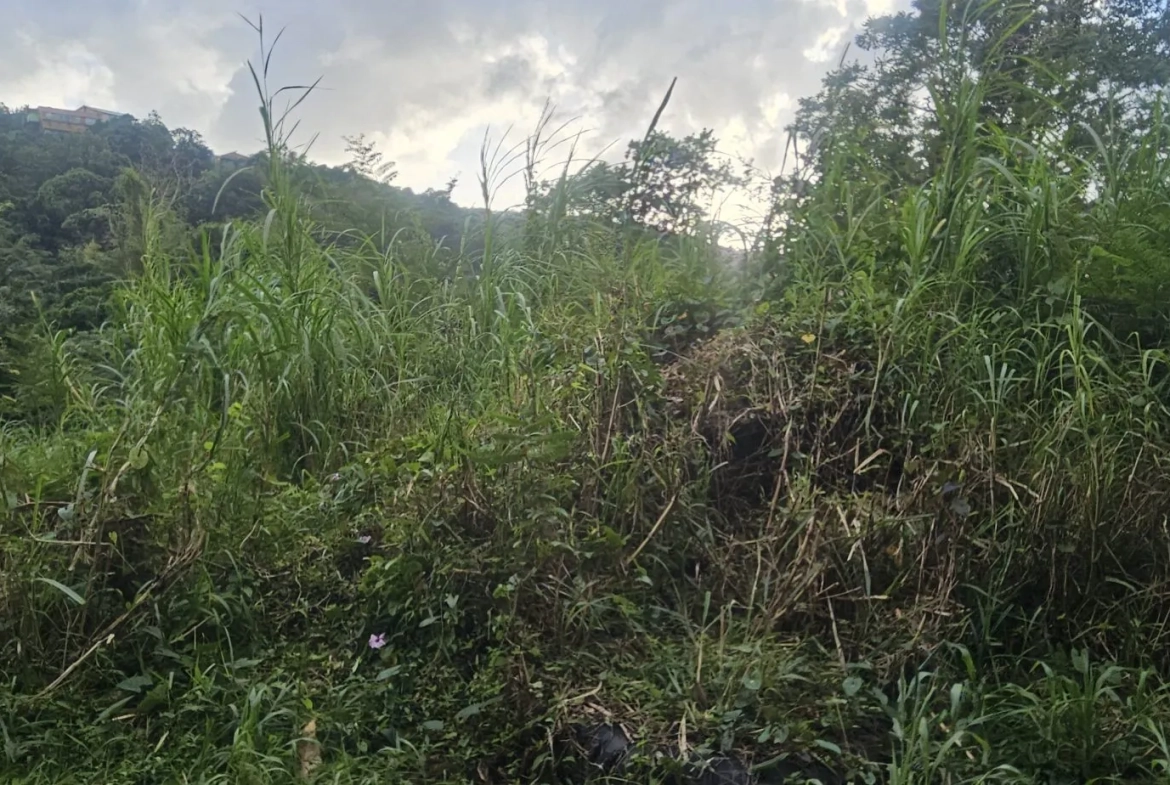 Terrain constructible à vendre à Riviere-Salee - Emplacement privilégié 